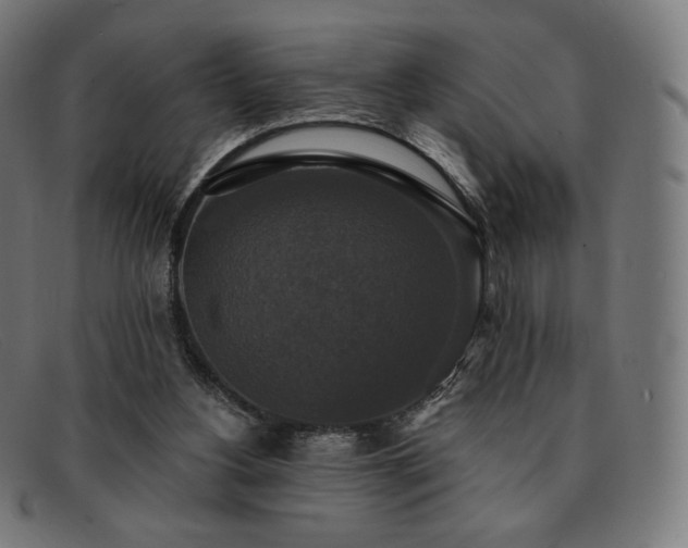 X0000091890156200709121446