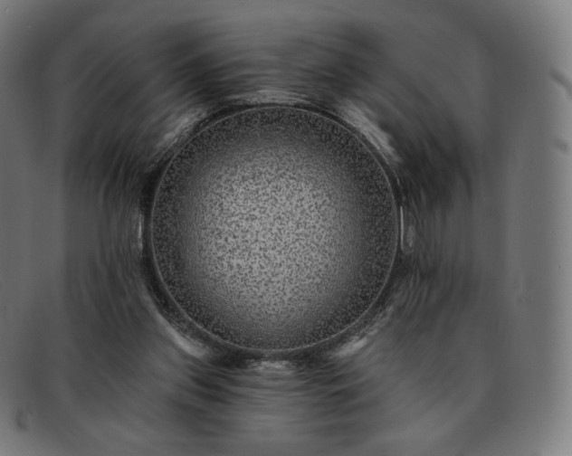 X0000091890157200709121446