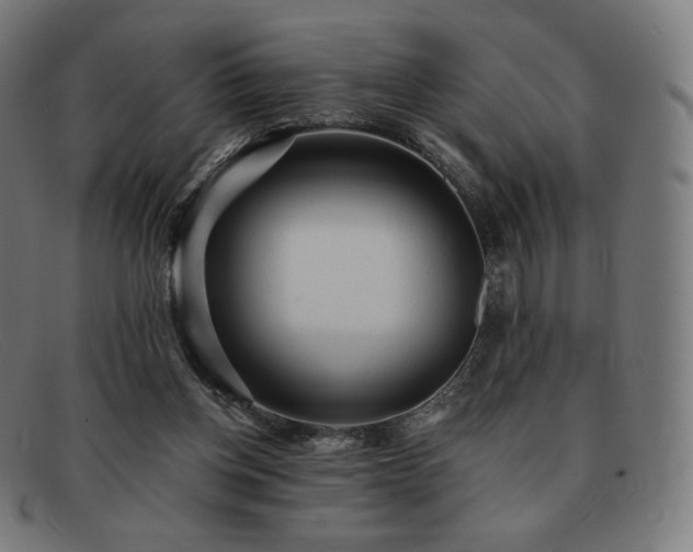 X0000091890158200709121446