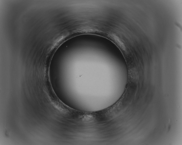 X0000091890159200709121446