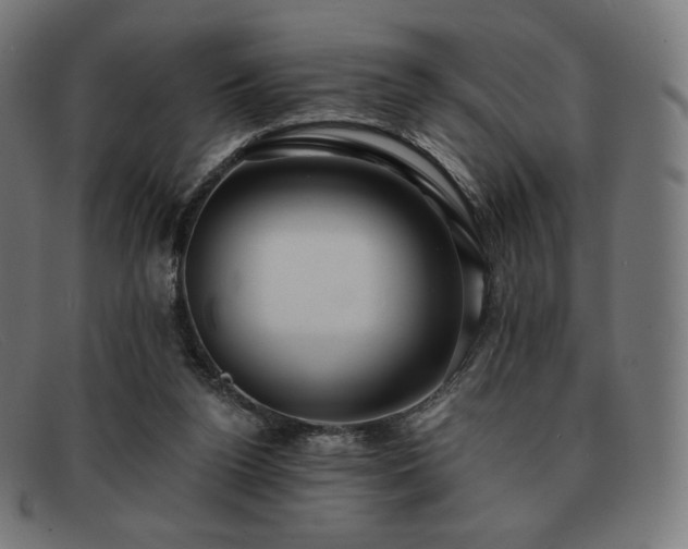 X0000091890160200709121446