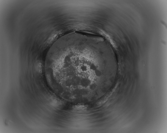 X0000091890161200709121446