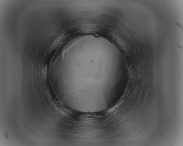 X0000091890163200709121446