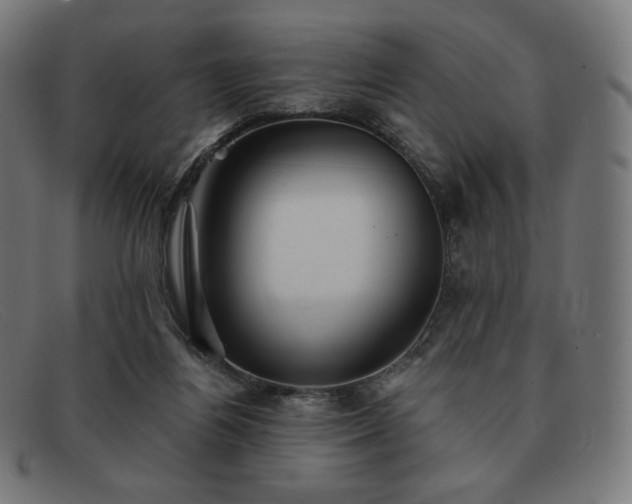 X0000091890164200709121446