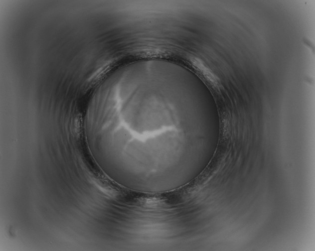 X0000091890165200709121446