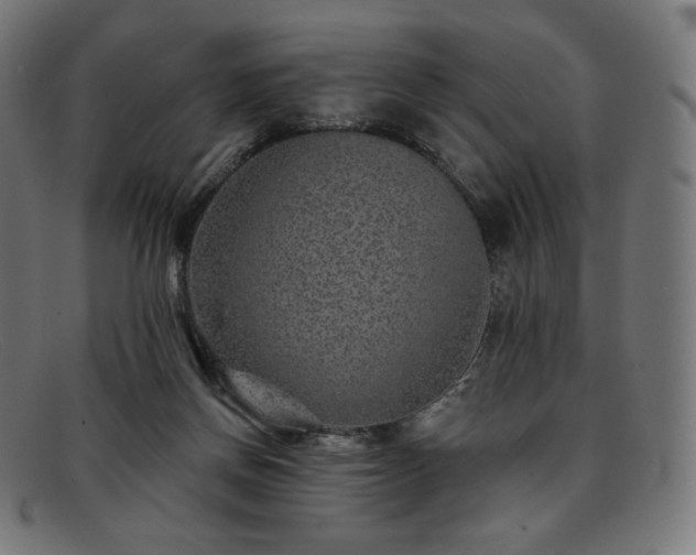 X0000091890166200709121446
