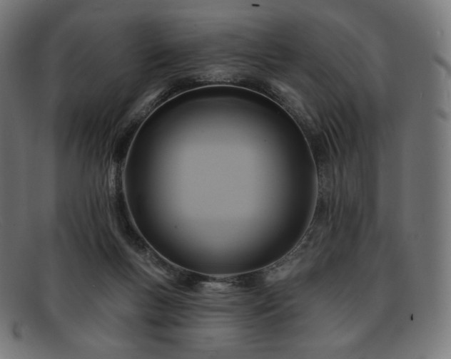 X0000091890167200709121446