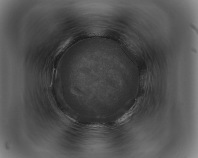 X0000091890168200709121446