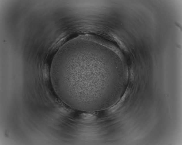 X0000091890170200709121446
