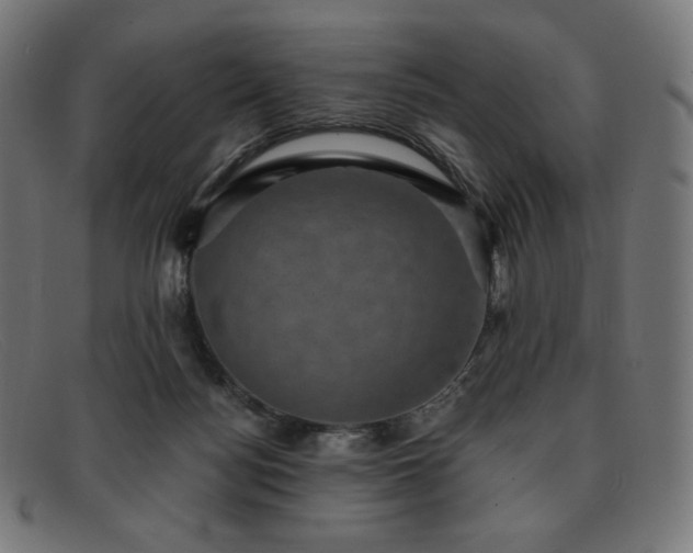 X0000091890172200709121446