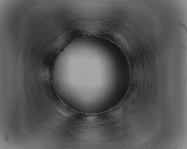 X0000091890173200709121446