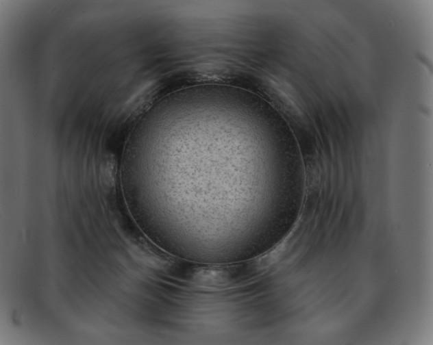 X0000091890174200709121446