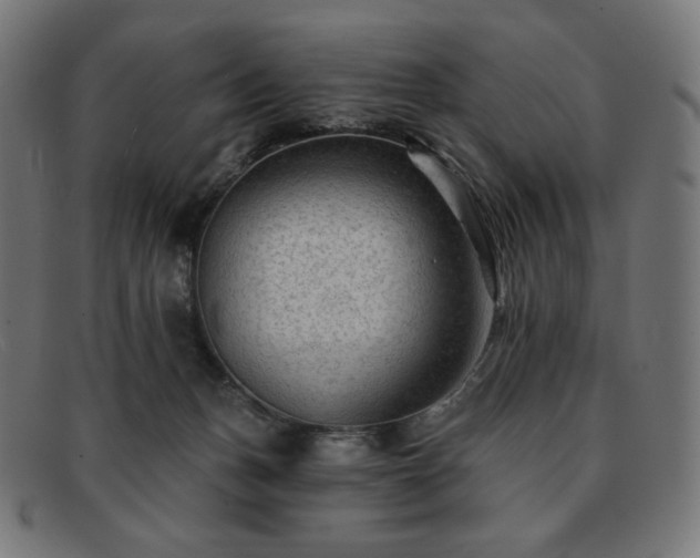 X0000091890175200709121446
