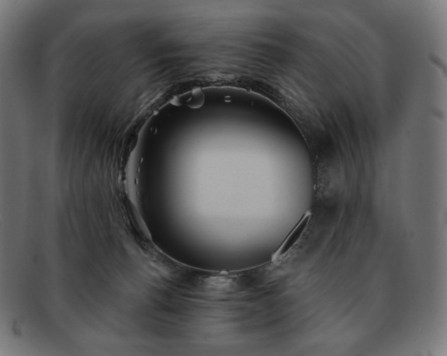 X0000091890176200709121446