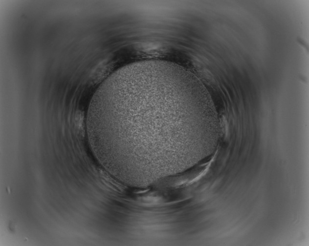 X0000091890178200709121446