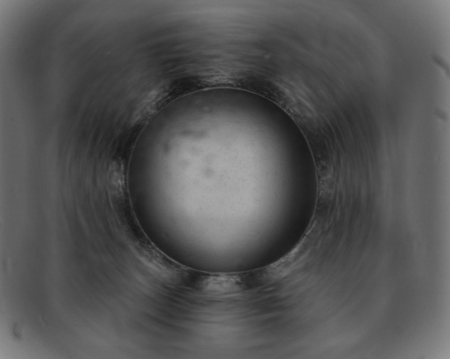 X0000091890179200709121447