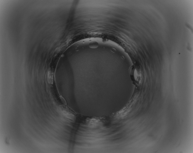 X0000091890180200709121447