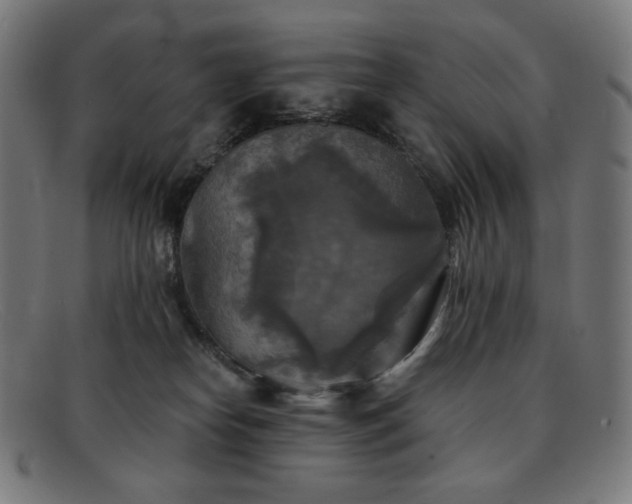 X0000091890182200709121447