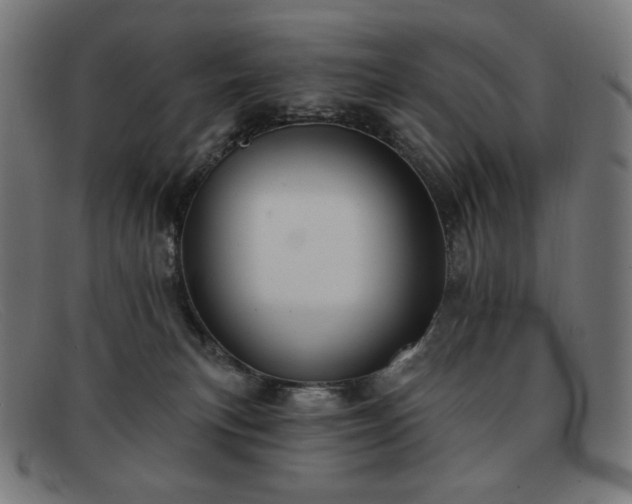 X0000091890183200709121447