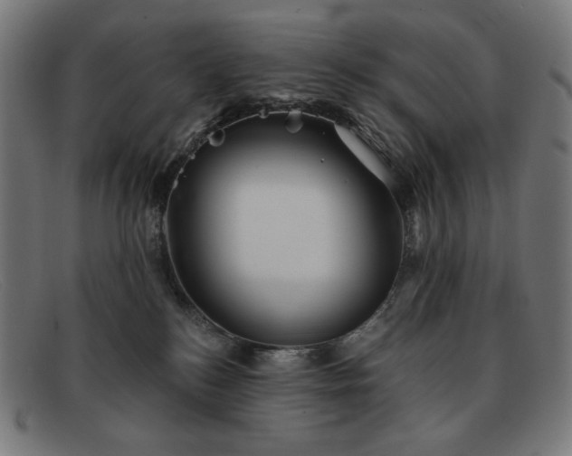 X0000091890184200709121447