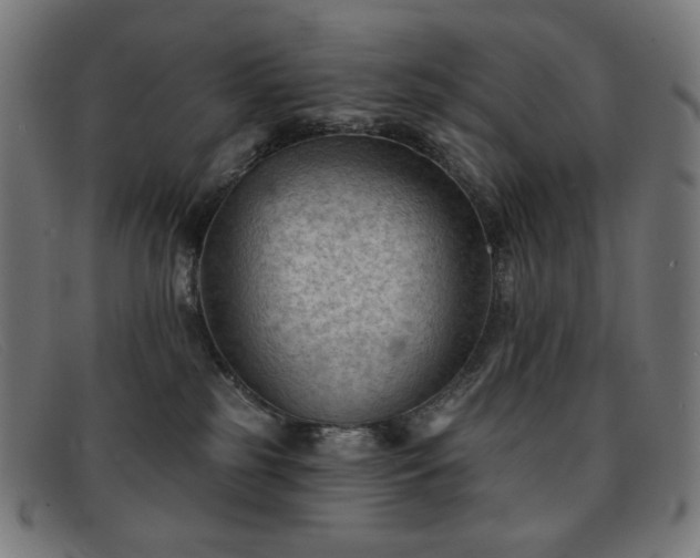 X0000091890185200709121447