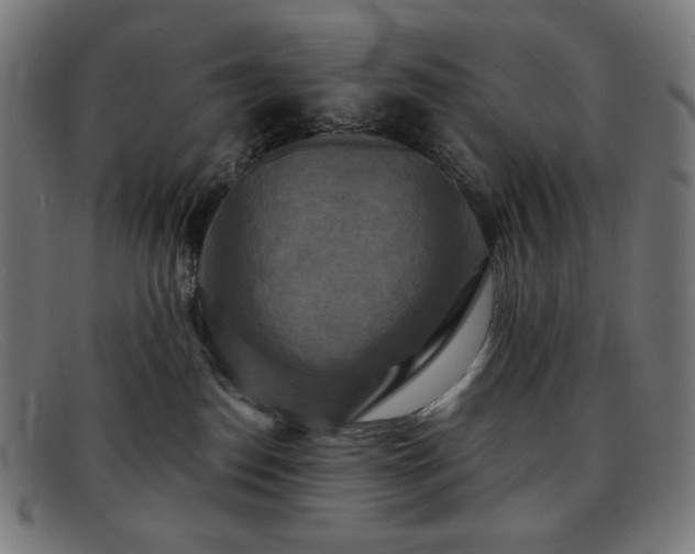 X0000091890186200709121447