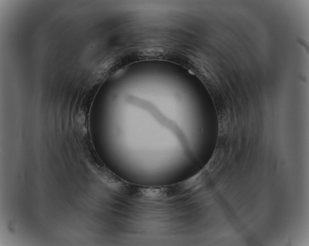 X0000091890187200709121447