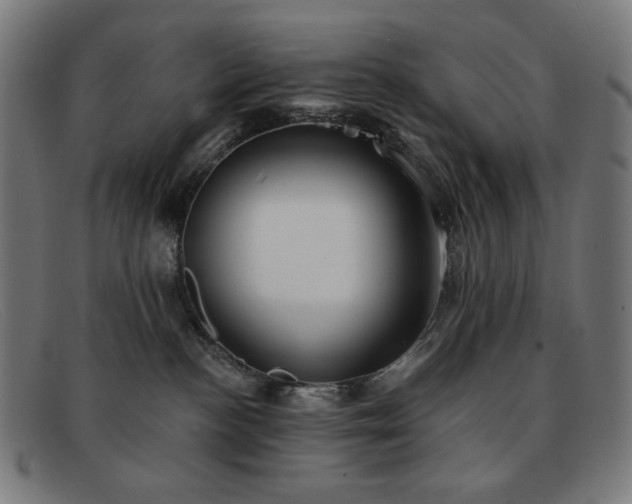 X0000091890188200709121447