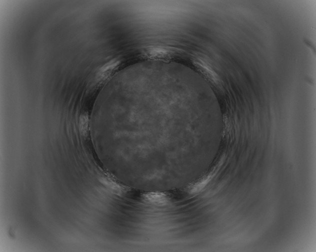 X0000091890189200709121447