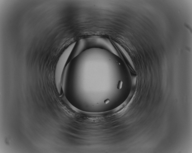 X0000091890190200709121447