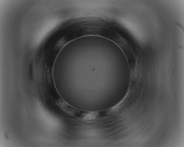 X0000091890191200709121447