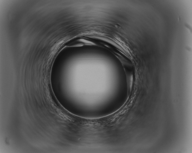 X0000091890193200709121446