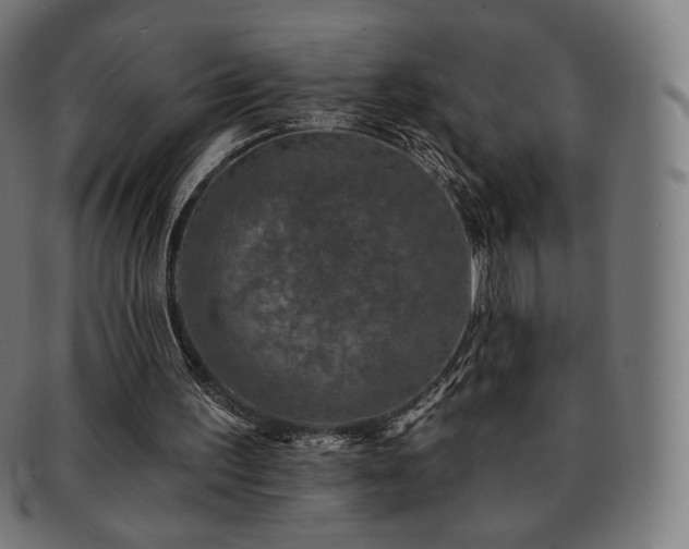 X0000091890195200709121446