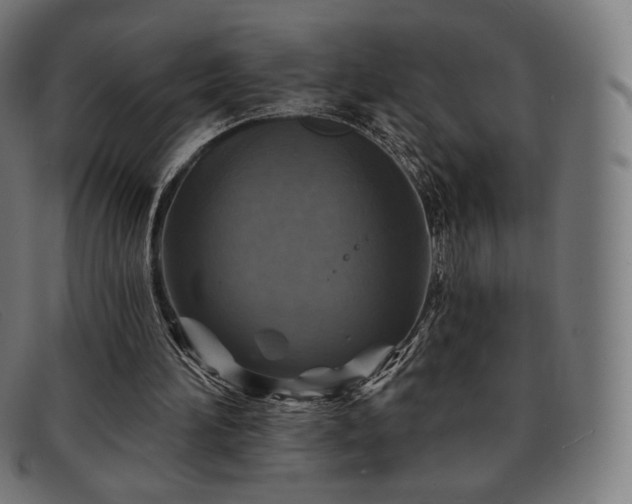 X0000091890196200709121446