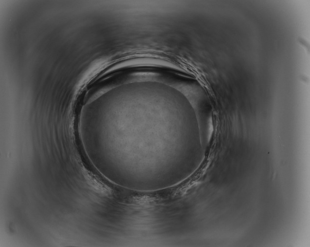 X0000091890197200709121446