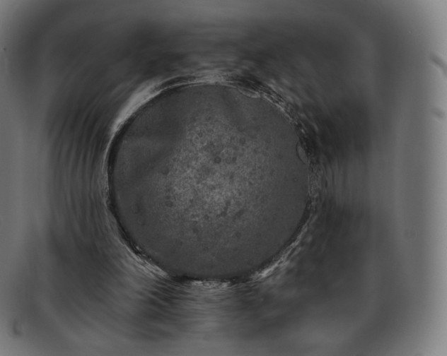 X0000091890198200709121446