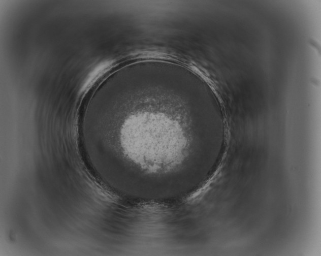 X0000091890199200709121446