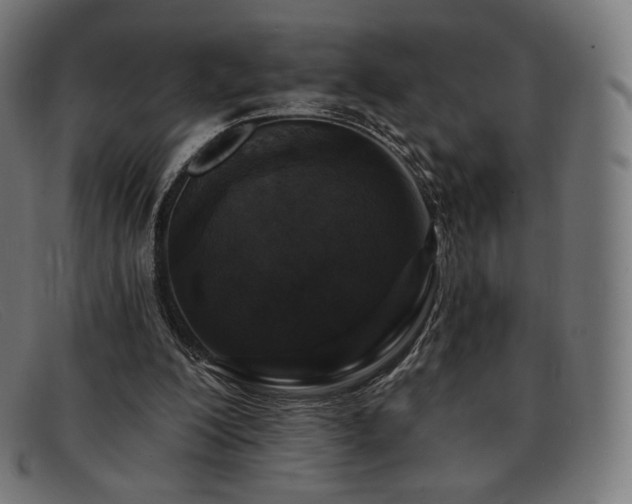 X0000091890200200709121446