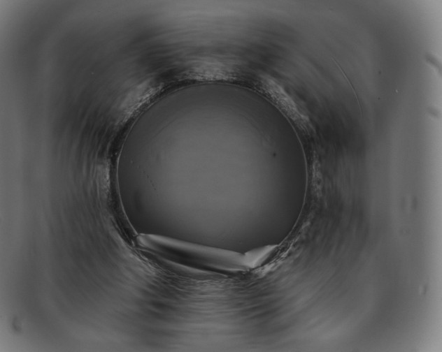 X0000091890202200709121446