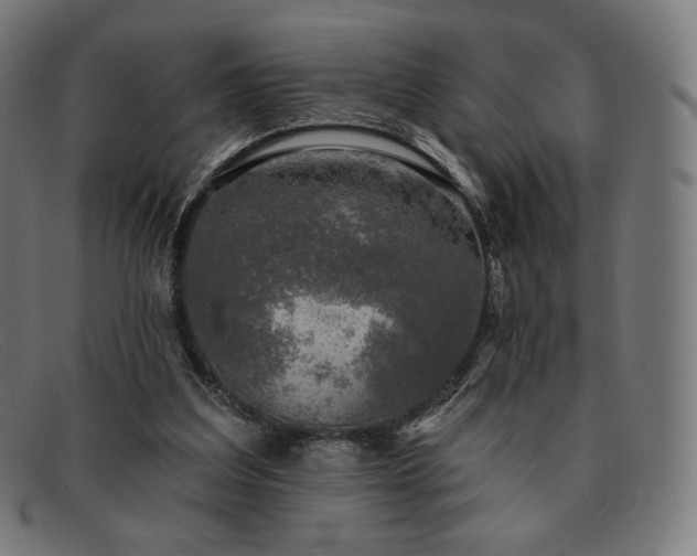 X0000091890203200709121446