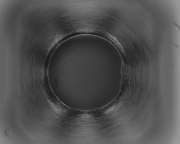 X0000091890204200709121446