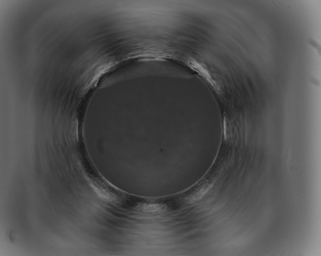 X0000091890205200709121446