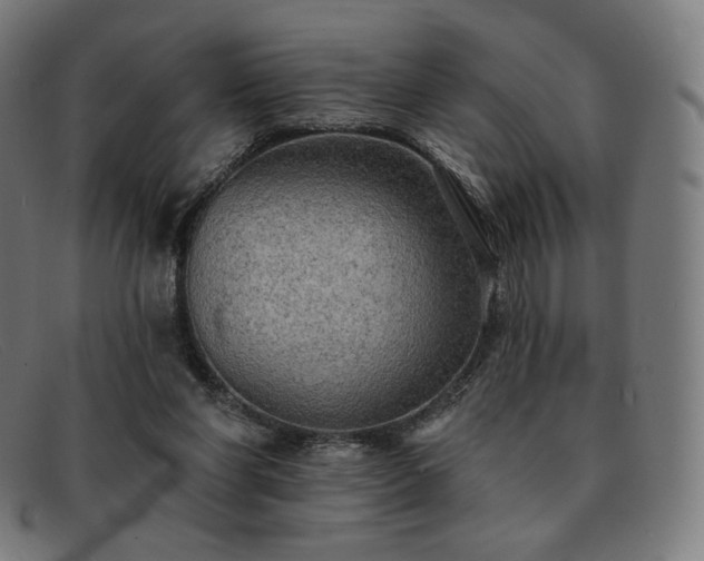 X0000091890206200709121446
