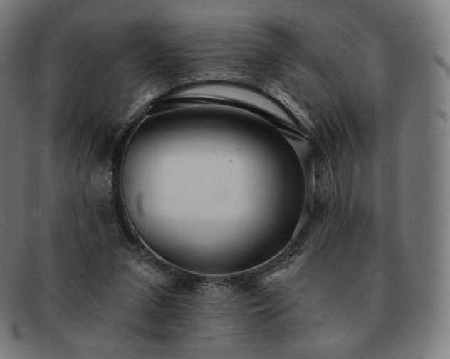 X0000091890207200709121446