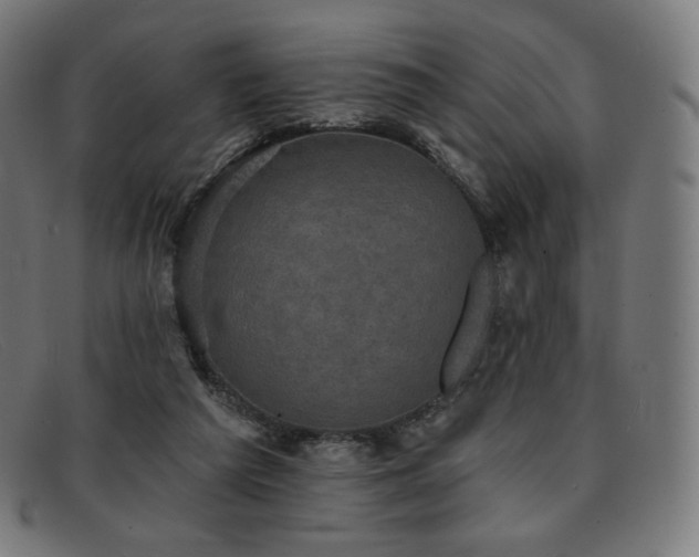 X0000091890209200709121446