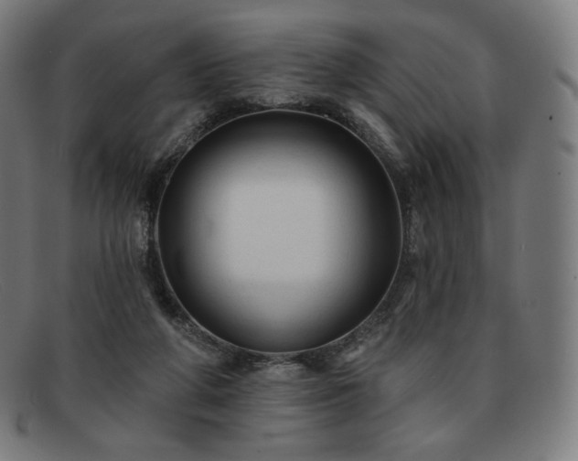 X0000091890210200709121446