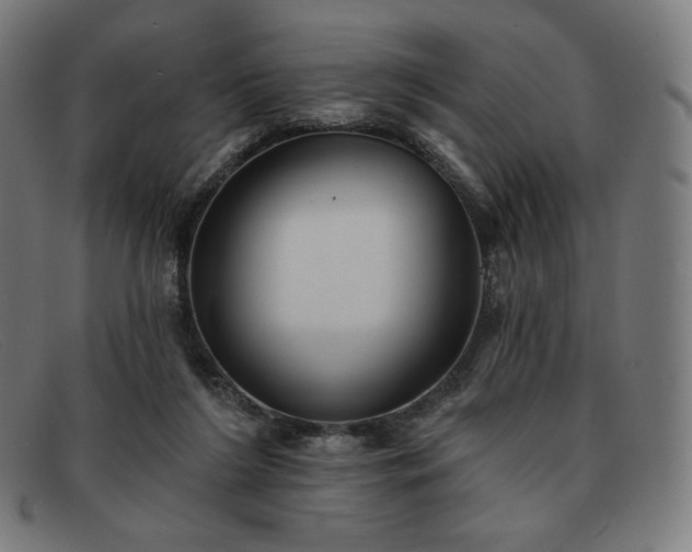 X0000091890212200709121446