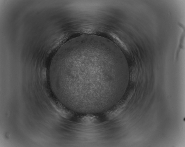 X0000091890213200709121446