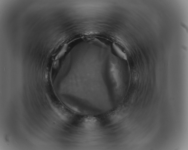 X0000091890214200709121446