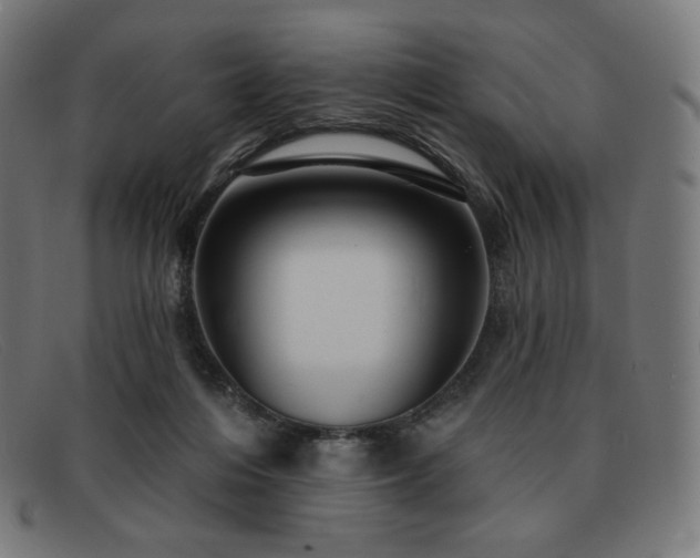 X0000091890216200709121446